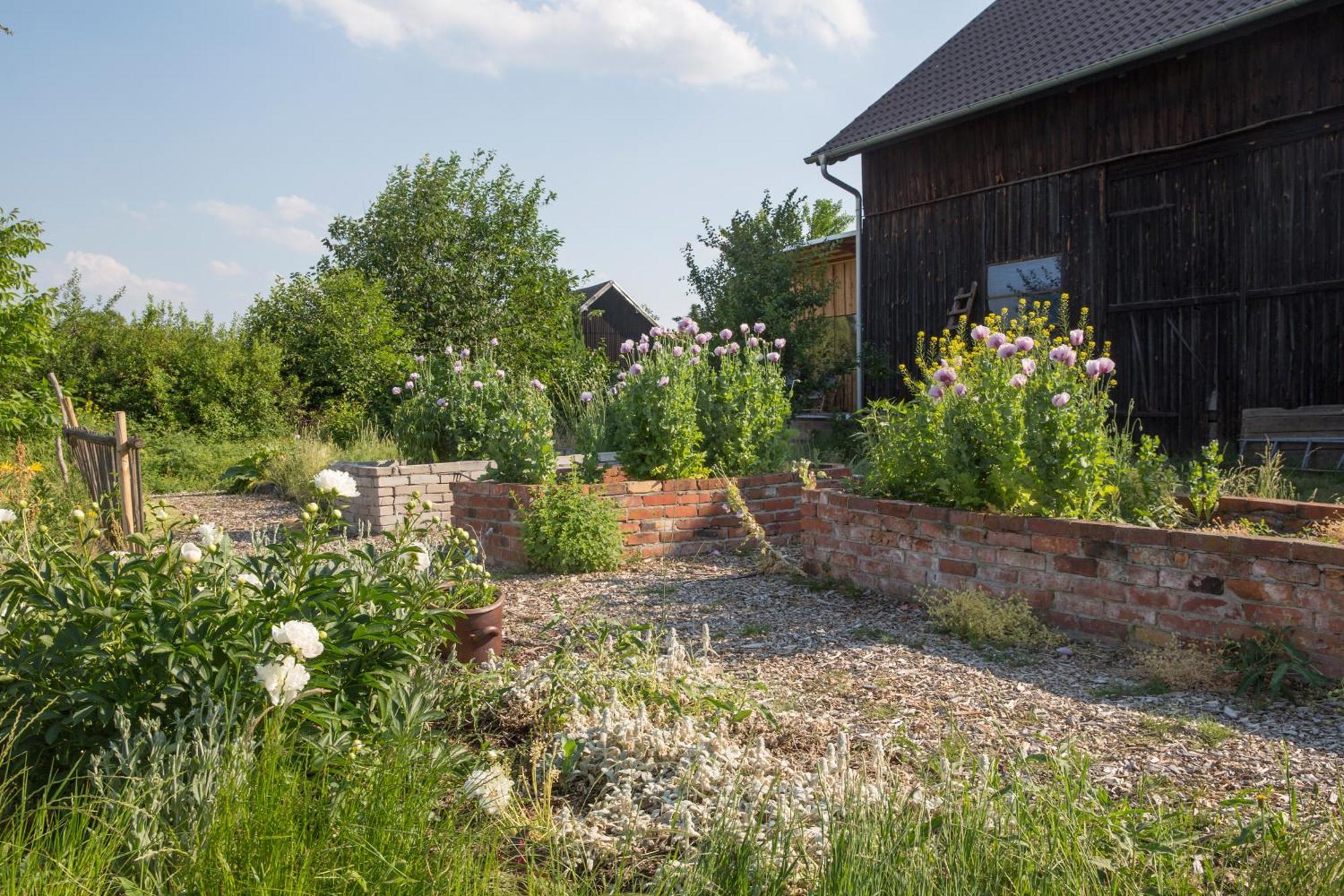 Alte Flachsfarm Cottbus Ngoại thất bức ảnh
